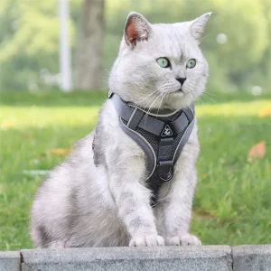 Fashion Reflective Cat Harness And Leash Sets